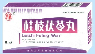 桂枝茯苓丸 