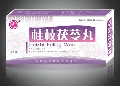 桂枝茯苓丸 桂枝茯苓丸