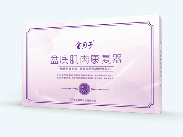 盆底肌肉康復器/產(chǎn)后盆底康復/盆底肌肉康 盆底肌肉康復器