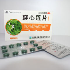 穿心蓮片